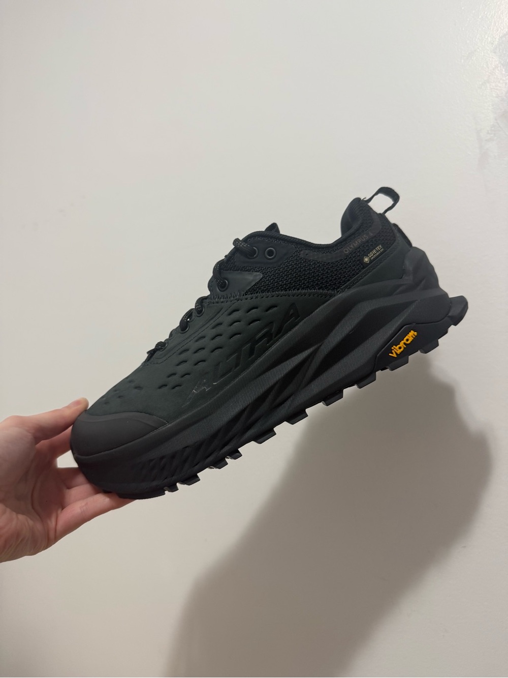 NWT Altra Olympus 6 Hike Low GTX